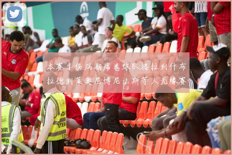 本赛季伤病潮席卷球队格拉利什布拉德利莱奥尼博尼法斯等人无缘赛季余下比赛