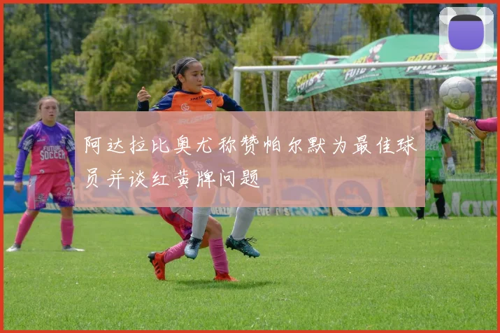 阿达拉比奥尤称赞帕尔默为最佳球员并谈红黄牌问题