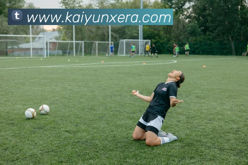 开云全站平台生态图